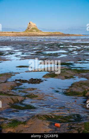 Lindisfarne Castle bei Ebbe, Holy Island, Northumberland, England, Vereinigtes Königreich, Europa Stockfoto