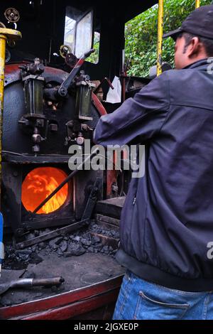 DARJEELING, INDIAN – am 22. Juni fährt der Spielzeugzug der Darjeeling Himalayan Railway auf der Strecke in Darjeeling, Indien. Stockfoto