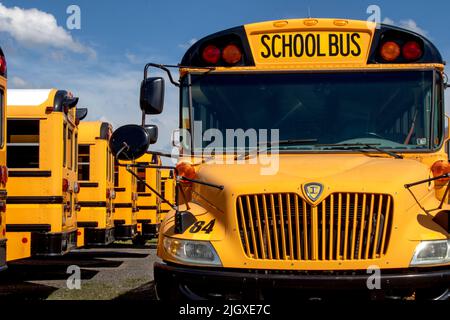 Big Yellow School Bus sind geparkt, sauber und glänzend warten auf die Kinder oder Kinder zur Schule zu bringen. Stockfoto