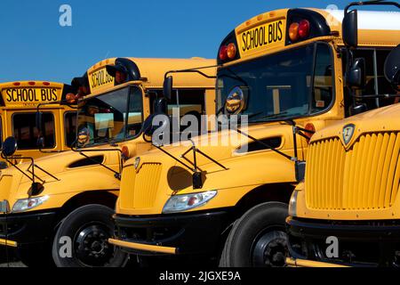 Big Yellow School Bus sind geparkt, sauber und glänzend warten auf die Kinder oder Kinder zur Schule zu bringen. Stockfoto