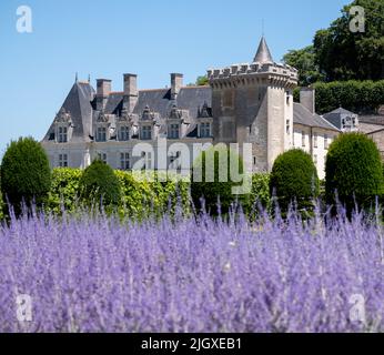 Chateau de Villandry im Loire-Tal. Foto aus dem Ziergarten mit lila russischen Salbei Perovskia Blumen im Vordergrund. Stockfoto