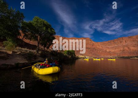 Eine Gruppe von gelben Flößen bei Lee's Ferry im Grand Canyon. Stockfoto