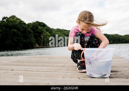 Mädchen hält eine Krabbe, die sie beim Angeln auf dem Dock gefangen Stockfoto