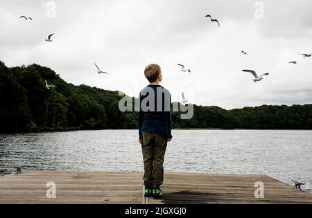 Junge, der auf einem Dock steht und auf einen Himmel voller Vögel blickt Stockfoto