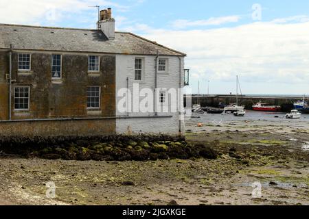 Küstenhäuser, Isle of Whithorn, Dumfries & Galloway, Schottland, Großbritannien Stockfoto