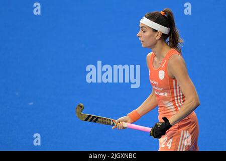 AMSTERDAM - Eva de Goede von den Holländerinnen beim Spiel zwischen den Niederlanden und Belgien bei den Eishockey-Weltmeisterschaften im Wagener-Stadion, am 12. Juli 2022 in Amsterdam. ANP | Dutch Height | Gerrit van Keulen Stockfoto