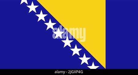 Flagge von Bosnien und Herzegowina. Das nationale Symbol des Landes. Schlichter Stil Stock Vektor