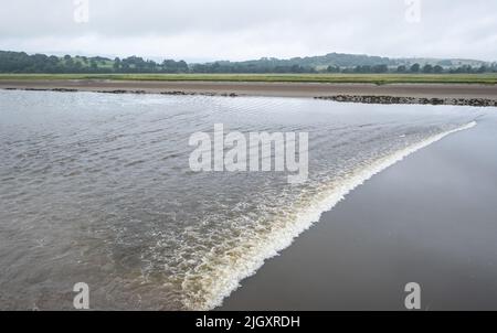 Die Gezeitenbohrung eilt weiter an Glencaple, Schottland, 11.. Juli 2022 vorbei. Stockfoto