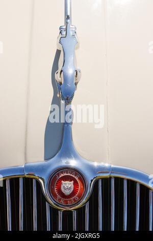Nahaufnahme des verchromten Motorhaubenabzeichens des Jaguar XK150 auf cremefarbenem Lack Stockfoto
