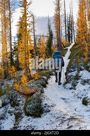 WA21718-00...WASHINGTON - Backpacker wandern auf dem Garland Peak Trail nach dem ersten Schneefall der Saison im Glacier Peak Wilderness Area. Stockfoto