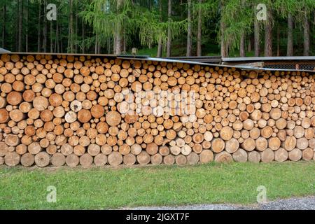 Ein Holzstapel aus gehacktem Holz im Hinterhof. Ein großer Stapel von Holzstämmen. Brennholz. Stockfoto