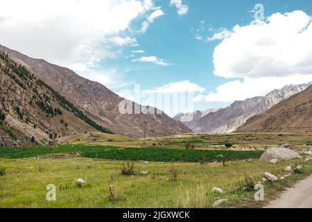 Grüne Farmlandschaft im Astore Valley zwischen Bergen an einem sonnigen Sommertag Stockfoto