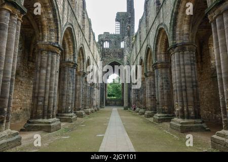 Blick auf das Kirchenschiff zum Altar der Kirkstall Abbey, einem zerstörten Zisterzienserkloster in Kirkstall, nordwestlich von Leeds, West Yorkshire, England. Stockfoto