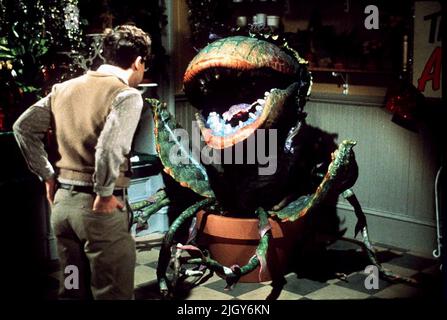 MORANIS, II, KLEINER HORRORLADEN, 1986 Stockfoto