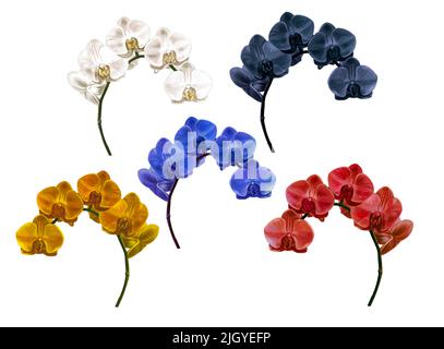 Set Aquarell Orchideen. Phalaenopsis ist rot, weiß gelb, blau und schwarz. Realistische Darstellung Stockfoto