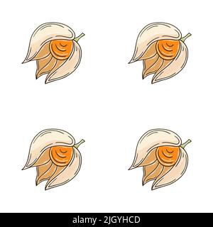 Physalis. Nahtloses Muster mit tropischen Früchten. Abbildung im Handzeichnen-Stil. Kann für Stoff und etc. Verwendet werden Stock Vektor