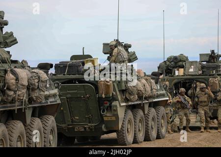 Soldaten der US-Armee, die dem 2. Stryker Brigade Combat Team, 7. Infantry Division, zugewiesen wurden, treffen Vorbereitungen für den Beginn einer Blankofeuerbewegung, um die Übung über Stryker Combat Vehicles im Yakima Training Center zu kontaktieren, 8. Juni 2022. Die Operation Lancer Scorch, die vom 20. Mai bis zum 16. Juni 2022 lief, war eine Gelegenheit für die SBCT 2-2, sich durch eine vollständige Integration von Ingenieuren, Kavallerie, elektronischer Kriegsführung und anderen Vermögenswerten auf ihre Infanteriegesellschaft Letalität zu konzentrieren. (USA Armee-Foto von SPC. Chandler Mäntel) Stockfoto