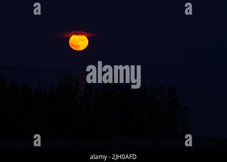 13. Juli 2022, Georgetown, Maine: Der Super Buck Moon steigt über dem Sheepscot River auf. Stockfoto