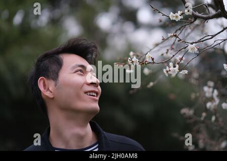 Lächelnder junger asiatischer Mann aus nächster Nähe genießt Pflaumenblüte. Ein hübscher Chinese schaut sich Pflaumenblüten an Stockfoto