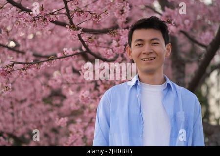 Glücklicher, hübscher, junger Mann aus Asien, mit einem wunderschönen, rosa Sakura-Blütenbaum im Frühling Stockfoto
