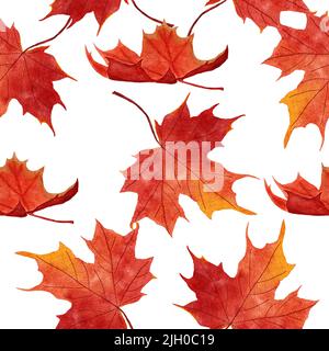 Aquarell handgezeichnetes nahtloses Muster mit rot orange gelben Herbstblättern, Ahorneiche Weinblatt. Oktober september Danksagehintergrund mit Waldbeeren Stockfoto