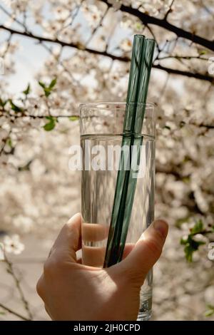 Wiederverwendbares Glas Strohhalme auf Naturhintergrund mit grünen Blättern Frühlingsblumen umweltfreundliches Trinkhalm-Set Wiederverwendbare komfortable abgerundete Spitze. Zero Waste, plastikfreies Konzept. Nachhaltiger Lebensstil. Picknick-Konzept Stockfoto