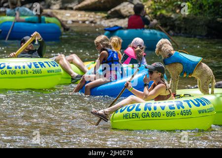 Familien tummeln sich auf dem Chattahoochee River, zusammen mit einem lebensjackigen Labradoodle, in Helen, einer alpinen Touristenstadt in den Nord-Georgia-Bergen. Stockfoto