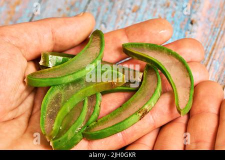 Stücke von Aloe Vera Blatt und sein Gel Stockfoto