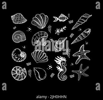 Set von Meereslebewesen, handgezeichnet im Sketch-Stil. Muscheln, Seetang, Fisch, Seesterne und Seepferd. Meerestiere. Meer. Meer. Isolierter Vektor auf schwarzer Rückseite Stock Vektor