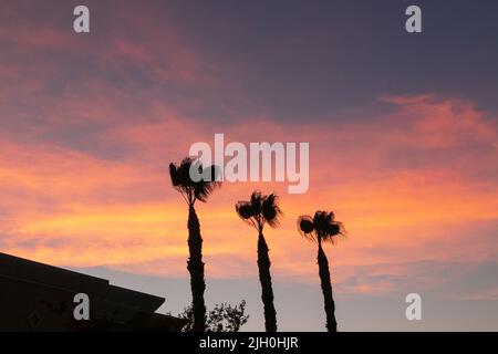 14. Juli 2022, San Diego, CA, USA: Die Korallen, Bäume, Felsen, Strand, Wellen, Orange Wolken, Ozean und hohe Brandung während des glitzernden Sommeruntergangs in La Jolla, Kalifornien, am Mittwoch, den 13.. Juli 2022 (Bildnachweis: © Rishi Deka/ZUMA Press Wire) Stockfoto