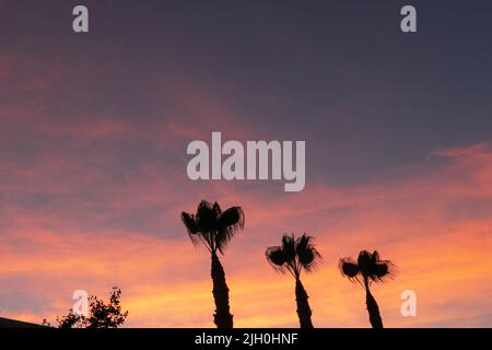 14. Juli 2022, San Diego, CA, USA: Die Korallen, Bäume, Felsen, Strand, Wellen, Orange Wolken, Ozean und hohe Brandung während des glitzernden Sommeruntergangs in La Jolla, Kalifornien, am Mittwoch, den 13.. Juli 2022 (Bildnachweis: © Rishi Deka/ZUMA Press Wire) Stockfoto