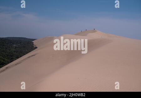 Die Düne von Pilat wird auch Grande Dune du Pilat genannt, die höchsten Sanddünen Europas mit Blick auf die Bucht von Arcachon in Frankreich Stockfoto