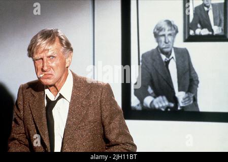 LLOYD BRIDGES, Flugzeug!, 1980 Stockfoto