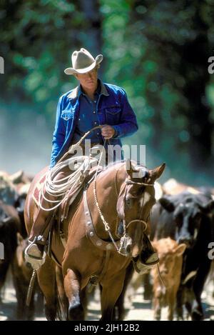 ROBERT REDFORD, der PFERDEFLÜSTERER, 1998 Stockfoto