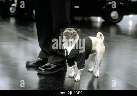 FRANK, DIE MOPS, MEN IN BLACK II, 2002 Stockfoto