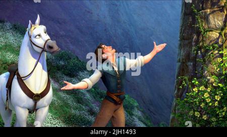 FLYNN RIDER, verwirrte, 2010 Stockfoto