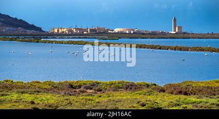 Ornithologischer Aussichtspunkt Las Salinas, Salinas de Cabo de Gata, Feuchtgebiet Ramsar, Naturpark Cabo de Gata-Níjar, UNESCO-Biosphärenreservat, Hot des Stockfoto