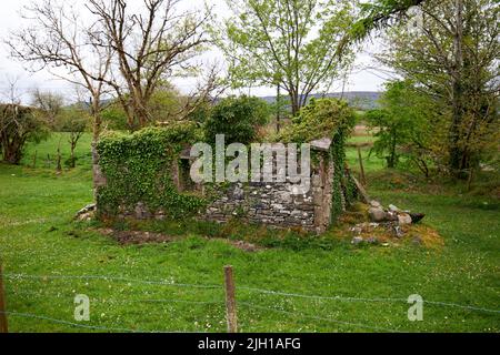 Alte verlassene tumbledown Stein Ziegel kleine Hütte im Westen von irland Castlebar County Mayo republik irland Stockfoto