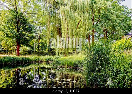 Schloss Lübbenau und Schlosspark im Spreewald, Mark Brandenburg; Schloss Lübbenau Stockfoto