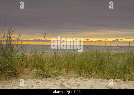 Schöner Sonnenuntergang in den Dünen von Langeoog an einem bewölkten Abend. Stockfoto