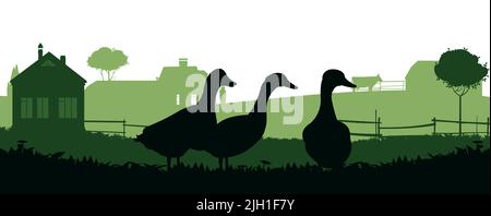 Enten grasen auf der Weide. Bildsilhouette. Haustiere auf dem Bauernhof. Hausgeflügel. Ländliche Landschaft mit Bauernhaus. Isoliert auf weißem Hintergrund. Vektor Stock Vektor