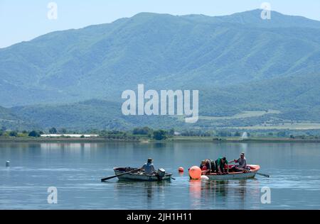 Bootsführer, die am Volvi-See im Dorf Mikri Volvi auf der Chalkidiki-Halbinsel arbeiten, in Mazedonien, Nordgriechenland. Der Volvi-See ist der Stockfoto