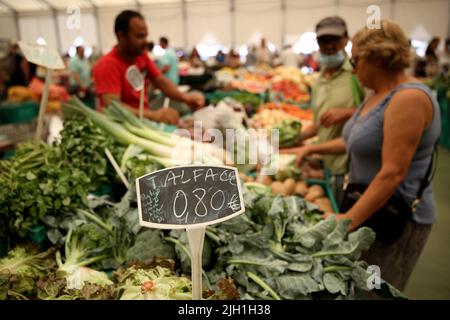 Lissabon, Portugal. 13.. Juli 2022. Kunden kaufen am 13. Juli 2022 auf einem Markt in Cascais, Portugal, ein. Der portugiesische Verbraucherpreisindex (VPI), ein Hauptindizes für die Inflation, stieg im Juni im Vergleich zum Vorjahr um 8,7 % und erzielte damit das höchste Tempo seit Dezember 1992, wie aus den am Dienstag vom Nationalen Statistikinstitut (INE) veröffentlichten Daten zu ersehen ist. (Bild: © Pedro Fiuza/ZUMA Press Wire) Stockfoto