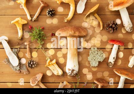 Verschiedene essbare Pilze auf Holz- Hintergrund Stockfoto