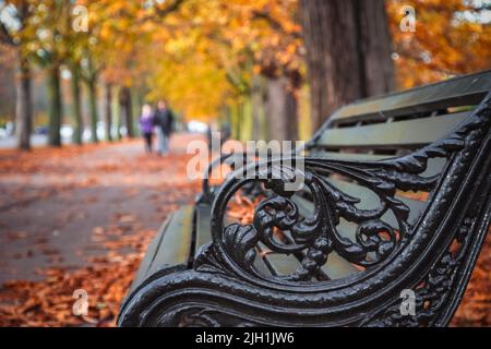 Herbstkonzept, Bank im Greenwich Park, London Stockfoto