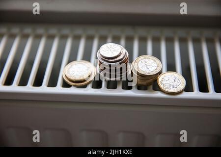 Lebenshaltungskosten-Krise. Geld für eine Heizkörperheizung zu Hause