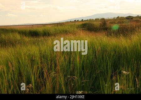 Tràchd Romhra - Solway Firth Stockfoto