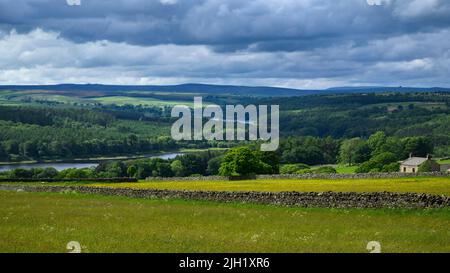 Landschaftlich schöne, hügelige Sommerlandschaft mit blick auf die Berge, Waldplantagen, sanfte Hügel, wolkiger Himmel, Bauernhöfe - Washburn Valley, England, Großbritannien. Stockfoto