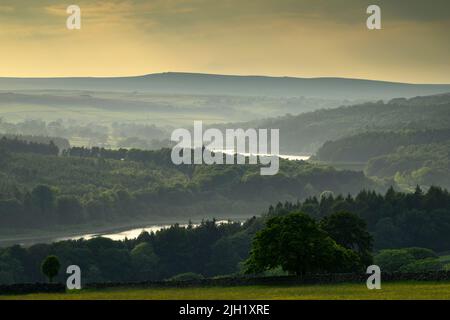 Landschaftlich reizvolle Sommer-Aussicht über weite Strecken (bewaldete Hügel, Waldplantage, sanfte Hügel, farbenfroher Himmel) - Washburn Valley, England. Stockfoto