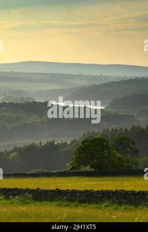 Landschaftlich reizvolle Aussicht auf den Sommerabend über weite Strecken (bewaldete Hügel, Waldplantage, sanfte Hügel, farbenfroher Himmel) - Washburn Valley, England, Großbritannien. Stockfoto
